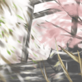 背景練習-黃金神社