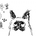 貓貓