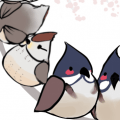 鳥三角頭聯盟
