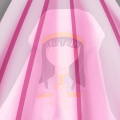 囚禁於記憶之花的聖女