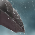 雨中