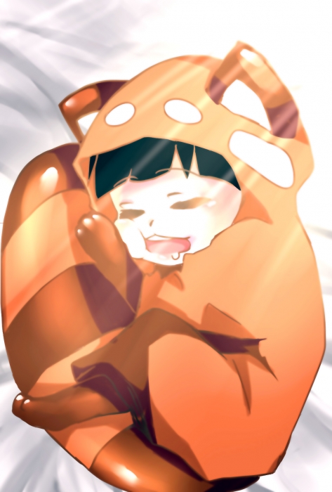 小松浣熊