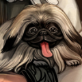 2018.05.17 [家犬]