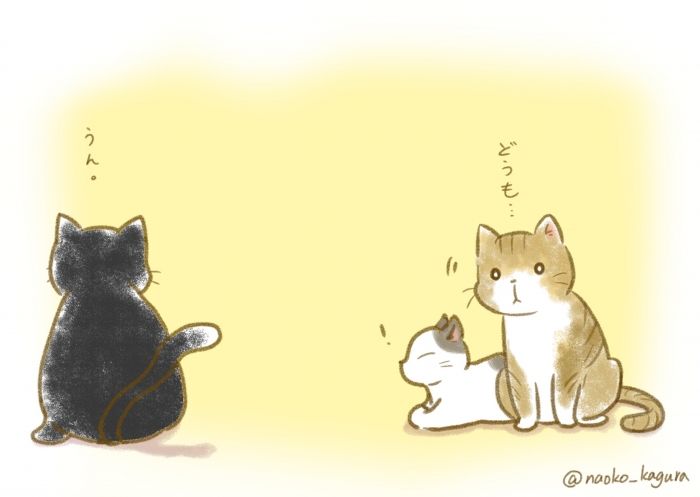 猫たち