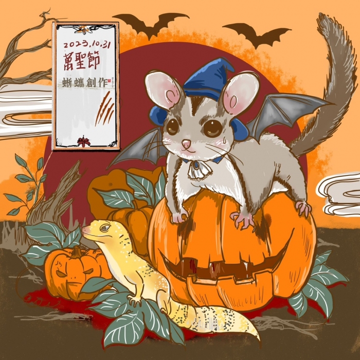 蜥蠵創作 萬聖節 蜜袋鼯