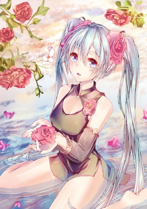 山茶花
