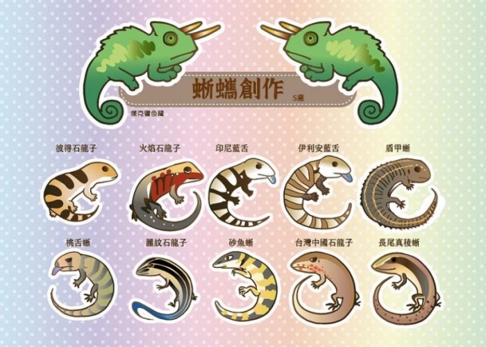 蜥蠵創作-石龍子科圖鑑