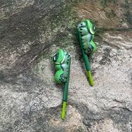 嚼嚼時間 臺灣寬尾鳳蝶幼蟲 模型