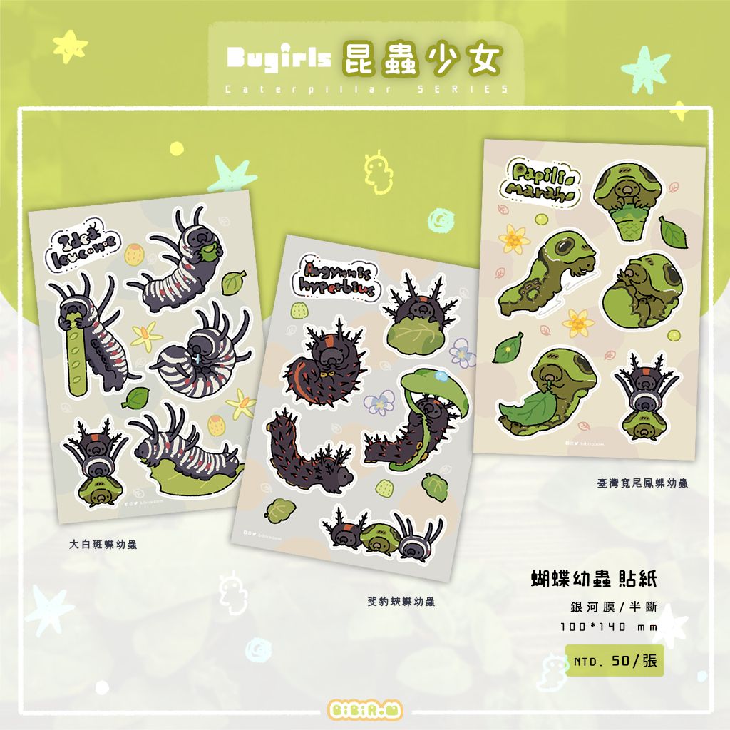 【原創】蝴蝶幼蟲貼紙 大白斑蝶/斐豹蛺蝶/台灣寬尾鳳蝶