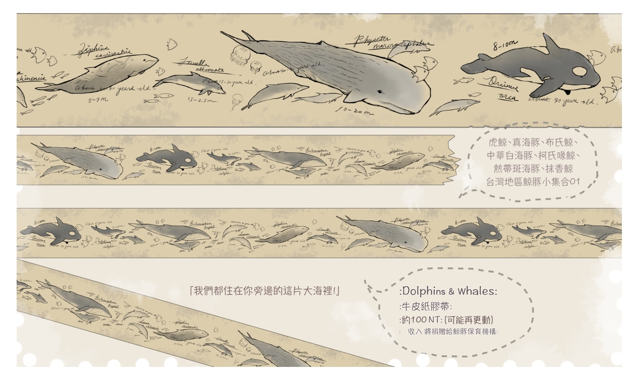 Dolphins&Whales鯨豚保育公益紙膠帶