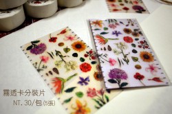 Flower花 原創分裝片