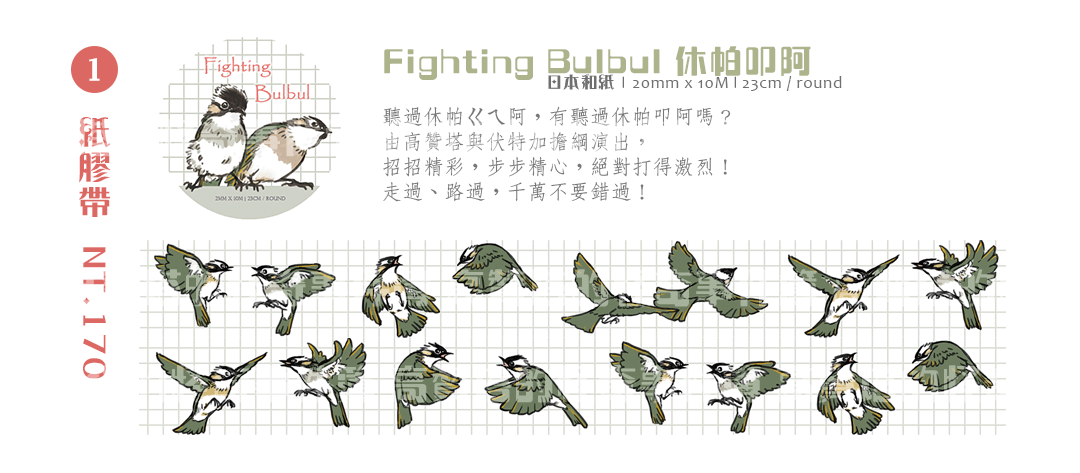 Fighting bulbul 休帕叩阿 白頭翁打架紙膠帶