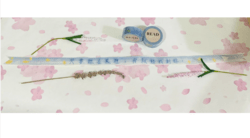 語錄紙膠帶（白起）