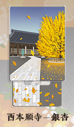 刀劍場景立牌　西本願寺-銀杏