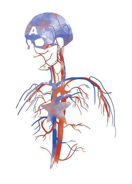 Hero Dissection