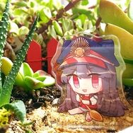 泳裝NOBU貓貓飯友