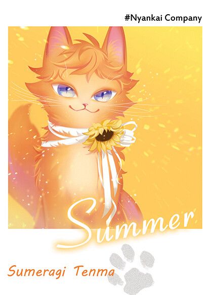A3!夏組貓咪卡片套組