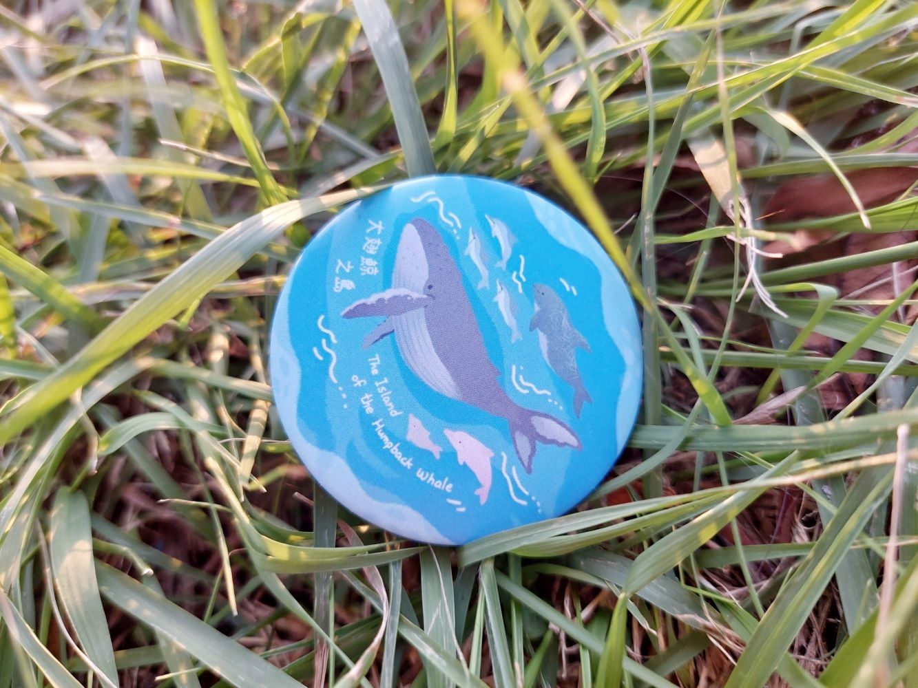【原生動物】大翅鯨之島🐳鯨豚徽章