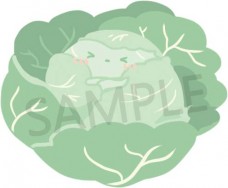 遮羞高麗菜