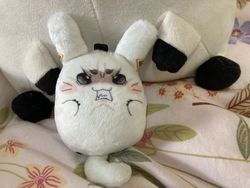 ミウ糰子