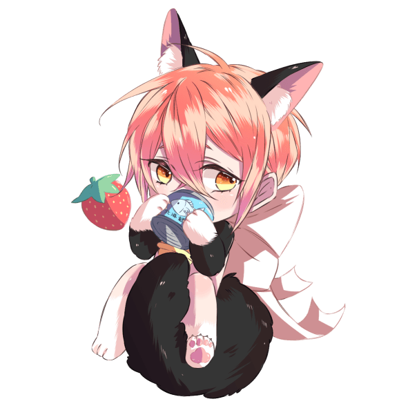 莓子貓