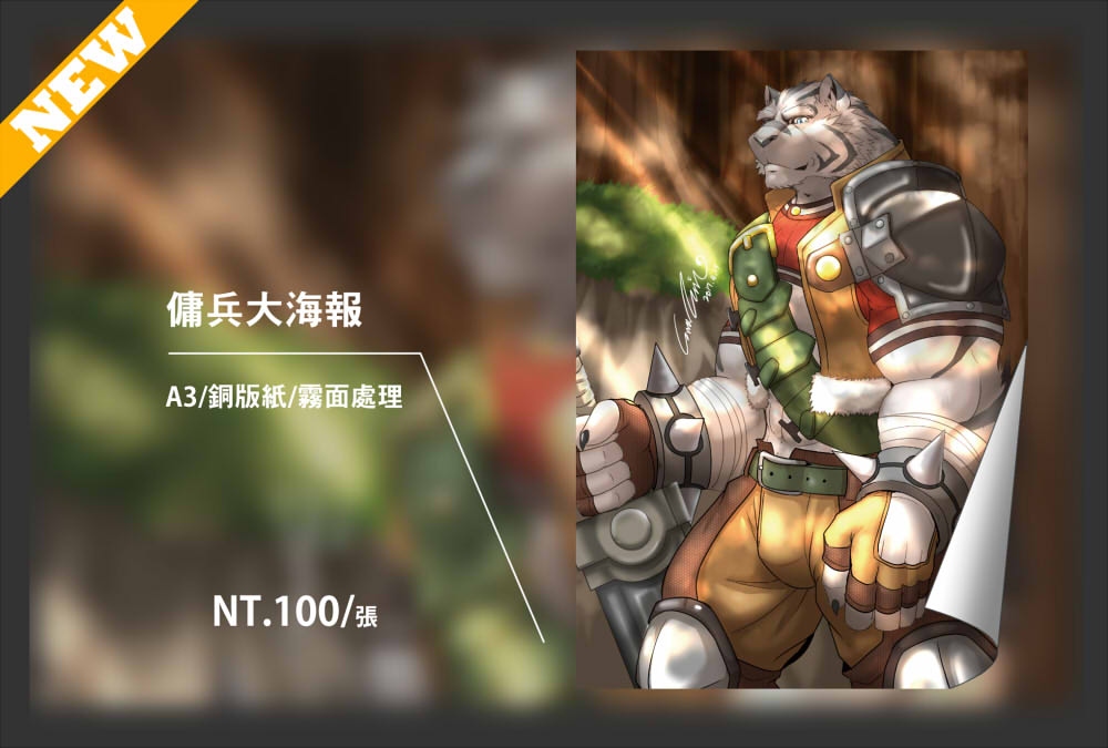 傭兵大海報