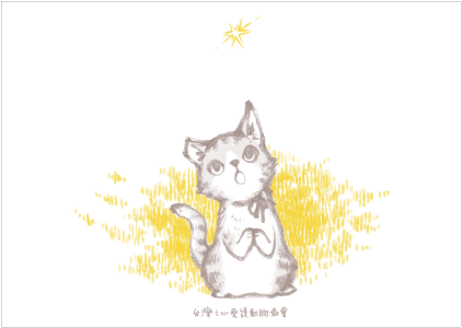明信片 - 許願貓
