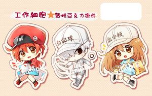 工作細胞壓克力掛件
