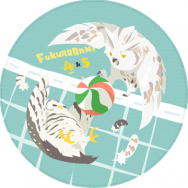 【HQ!!】貓頭鷹兔&赤杯墊