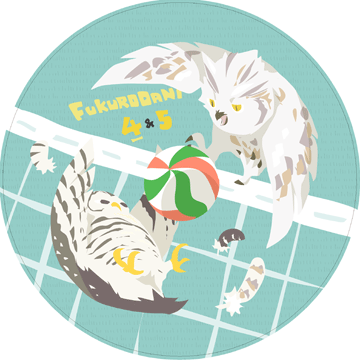 【HQ!!】貓頭鷹兔&赤杯墊