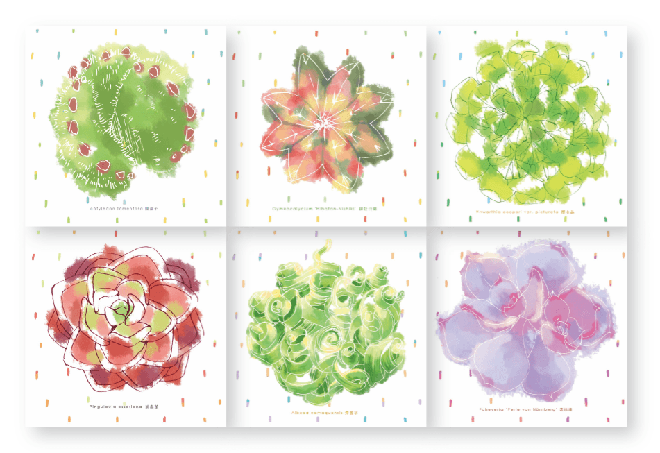 [SuccuLents] 方形圓角明信片(6張不單售)