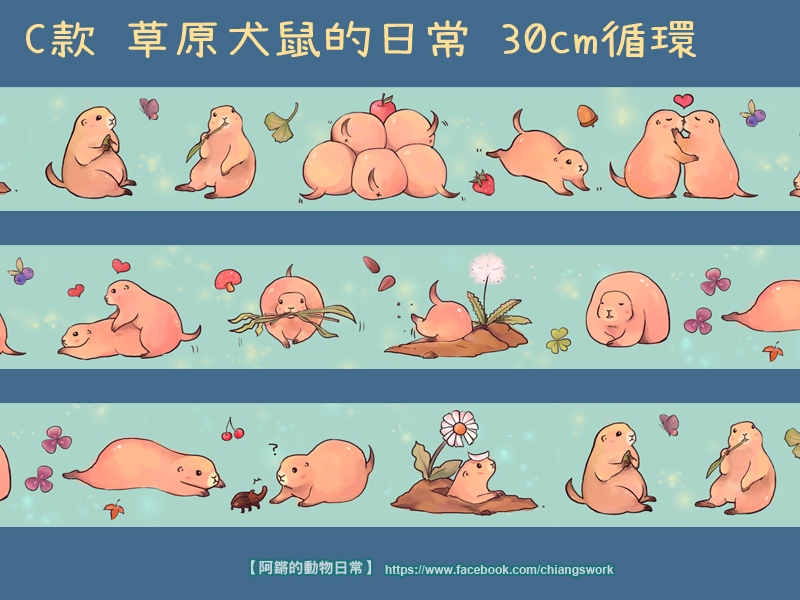 【草原犬鼠的日常】 紙膠帶