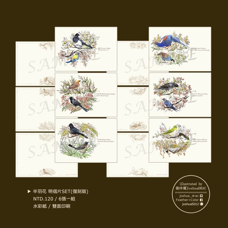 【原創】半羽花 明信片SET(復刻版)