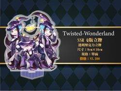 [扭曲仙境/ ツイステ]SSRQ版透明壓克力立牌