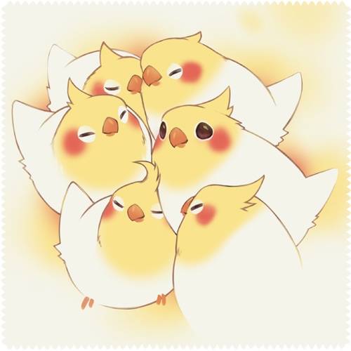 玄鳳眼鏡布