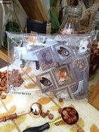［狐咖啡］PVC收納袋/透明信封/娃包/FOXXXCOFFEE