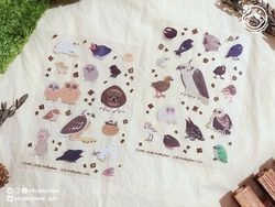 【原生動物】台灣的小鳥寶寶透明貼紙