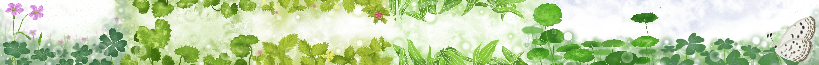 原創│紙膠帶│草地植物留言款