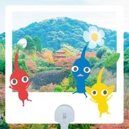 皮克敏拍照透扇