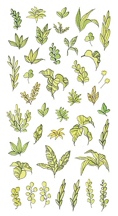 雜草貼紙