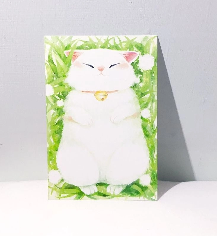 懶洋洋小白貓 /雙面明信片postcard