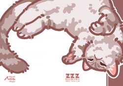 ZZZ Mia Sleepy notebook B翻肚