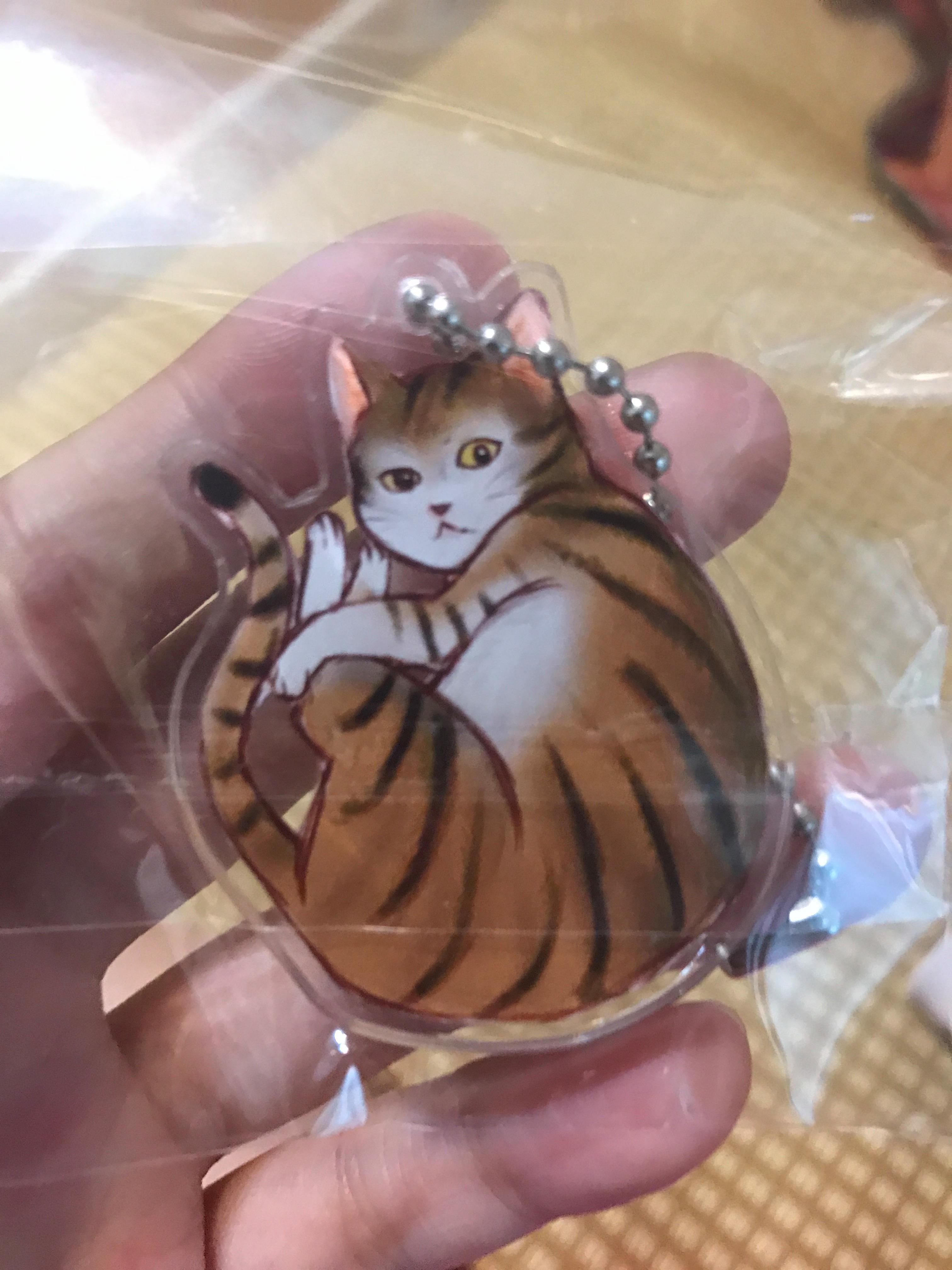 剛睡醒的喵