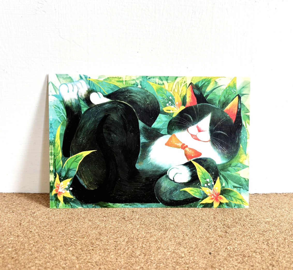 懶洋洋小賓士貓 /雙面明信片postcard