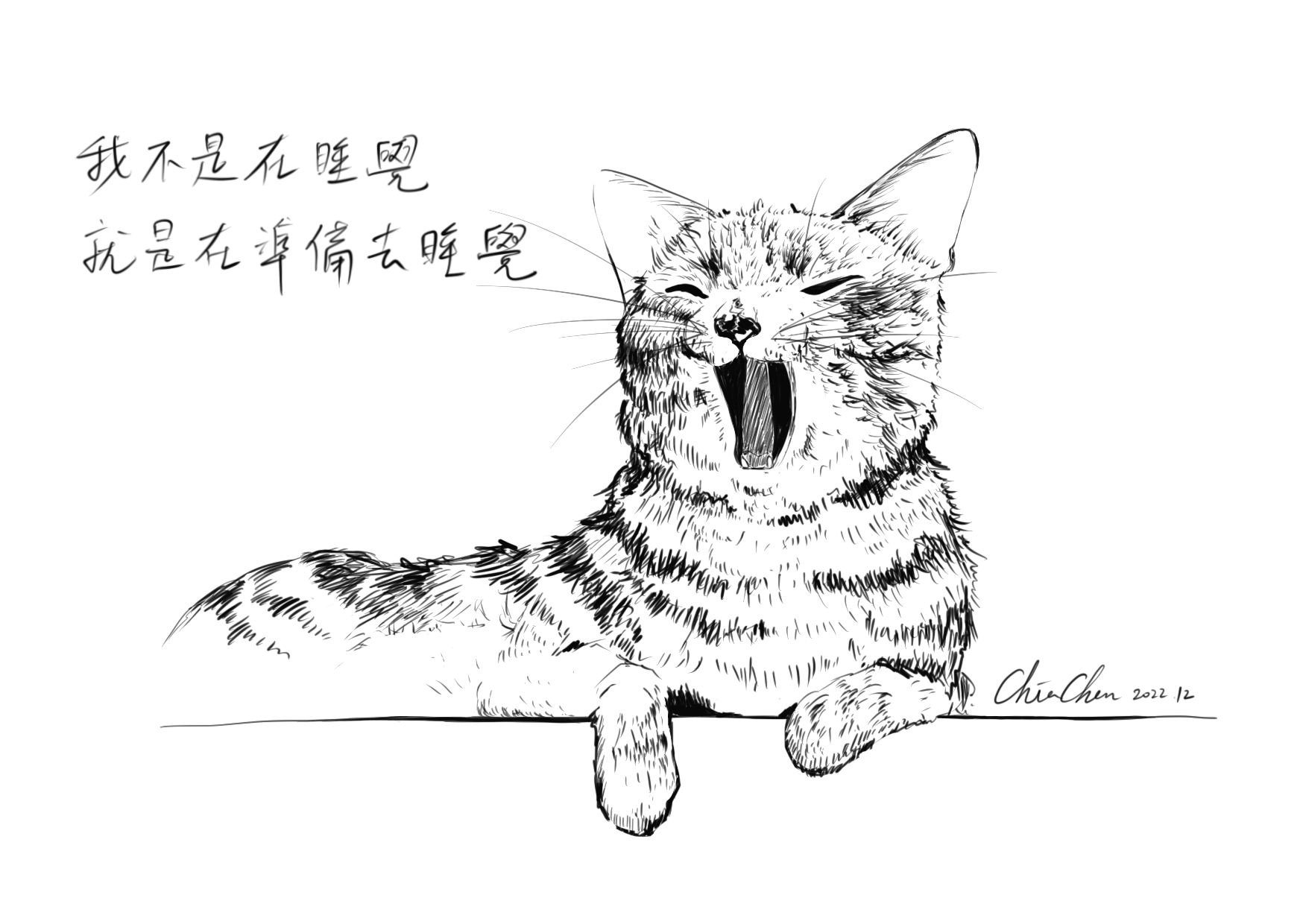 哈欠貓