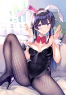 月之美兔脫衣資料夾(附必須由我來擋住!的委員長貼紙